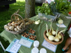 Organic produce from Cugno's Farm.
